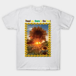 Sunflower - head up T-Shirt